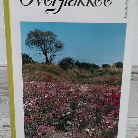 Nummer 1 Sommelsdijk