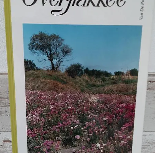 Nummer 1 Sommelsdijk